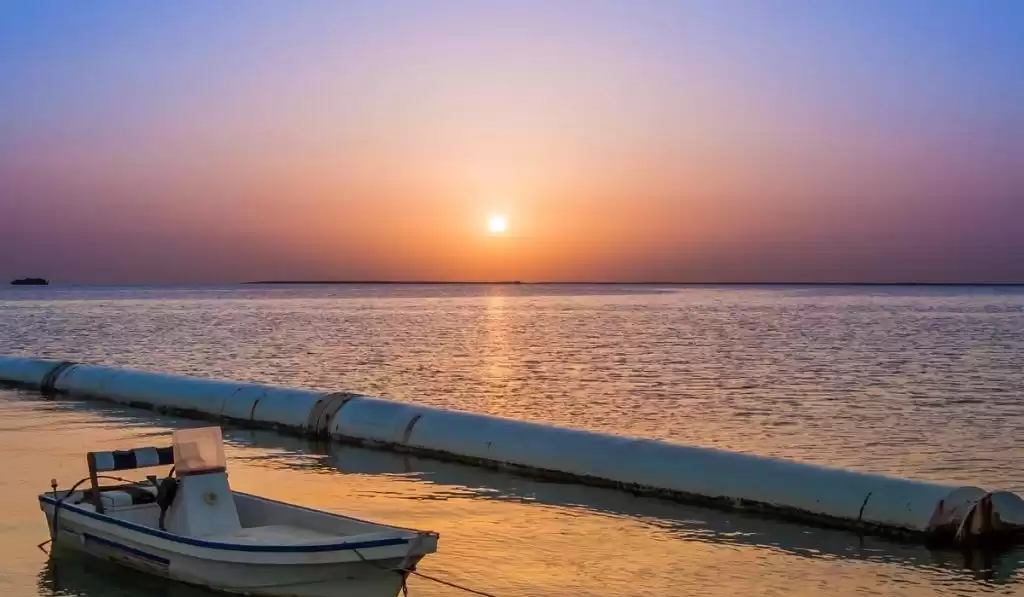 Residential Ready Property Studio F/F Apartment  for sale in Al Sadd , Doha #7098 - 1  image 